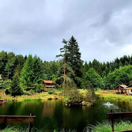 Gite L'envol * Belval (Vosges)